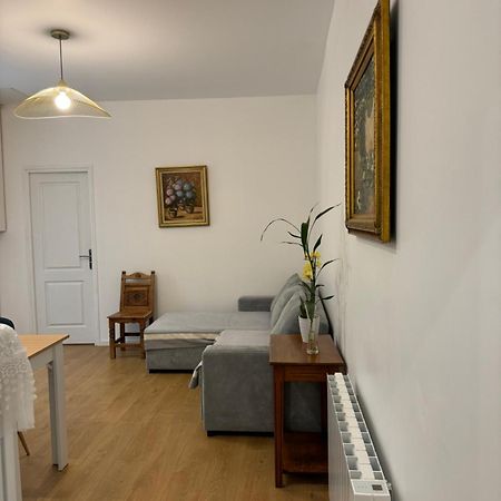 Appartement Meuble Tout Confort Chalon-sur-Saône Eksteriør billede