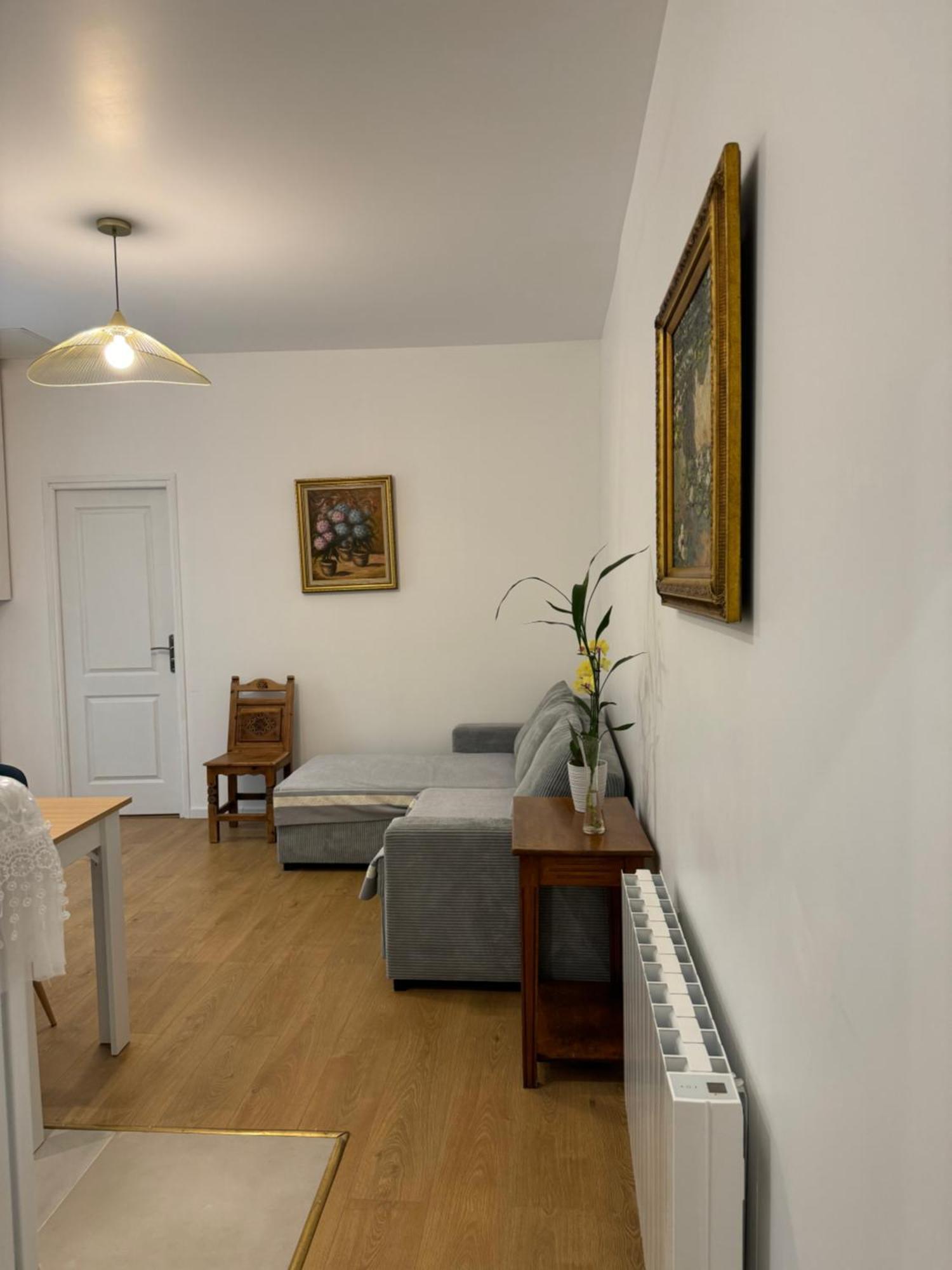 Appartement Meuble Tout Confort Chalon-sur-Saône Eksteriør billede